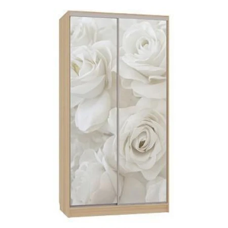 Шкаф-купе Рио 7-600 розы