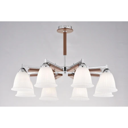 85663/8 BR+CH (1) Люстра 