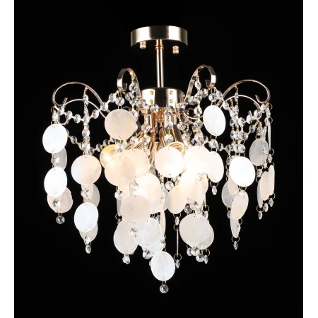 2868/4 FGD (1) Люстра RL 