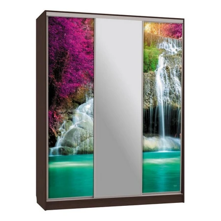 Шкаф-купе Бассо 10-600 49