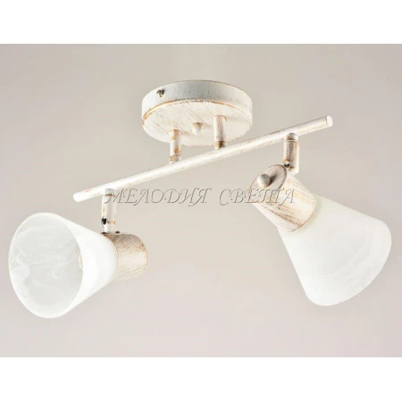 9779/2 WG  (6) - Эконом-Плюс люстры