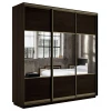 Шкафы-купе 3-х дверный Экспресс Комби трио венге, зеркальный 