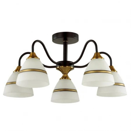 Люстра Lumion 5214/5C NETTIE