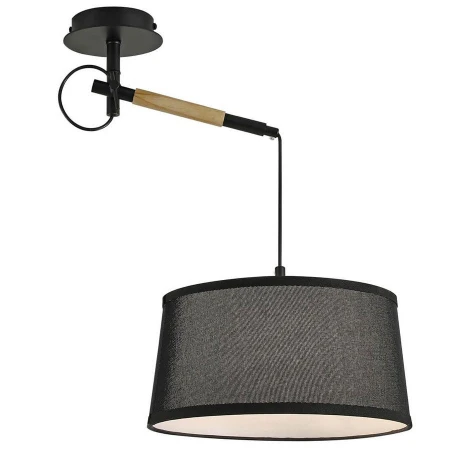 Светильник F-Promo 3006-1P Eureka Светильник F-Promo 3006-1P Eureka