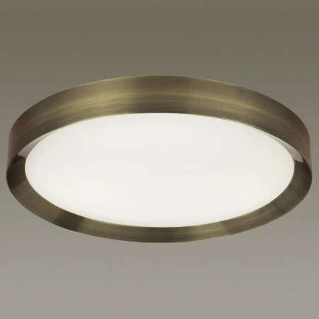 Светильник Odeon Light 4948/60CL LUNOR