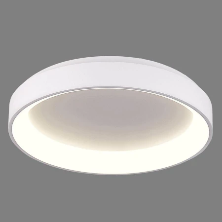 Светильник ACB ILUMINACION 3848/48 (P384810B) Grace