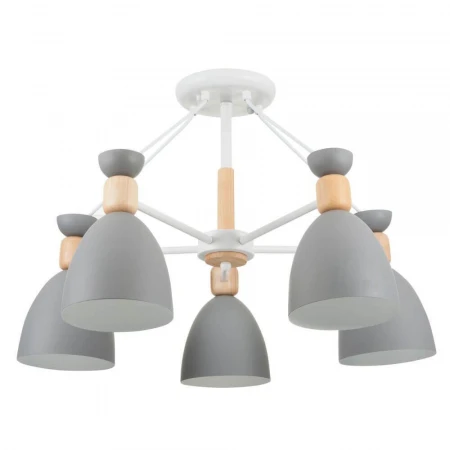 Потолочная люстра Freya Delia FR5033CL-05W