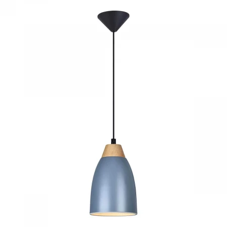Подвесной светильник Toplight Leah TL0724H-2N