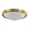 Настенно-потолочный светильник Lumion Nina 5259/4C