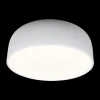 Потолочный светодиодный светильник Loft IT Axel 10201/480 White