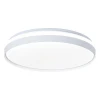 Потолочный светодиодный светильник Feron Simple matte AL6230 48072