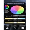 Потолочный светодиодный светильник Natali Kovaltseva Led Lamps 81100