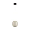 Подвесной светильник Odeon Light COCOON 5060/1GA Подвесной светильник Odeon Light COCOON 5060/1GA