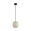 Подвесной светильник Odeon Light COCOON 5060/1GA Подвесной светильник Odeon Light COCOON 5060/1GA