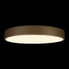 Потолочный светодиодный светильник Loft IT Flims 10228/A