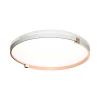Настенно-потолочный светодиодный светильник Sonex Pale Olidi White 7646/EL