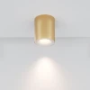 Потолочный светильник Maytoni Technical Spark C094-GU10-MG