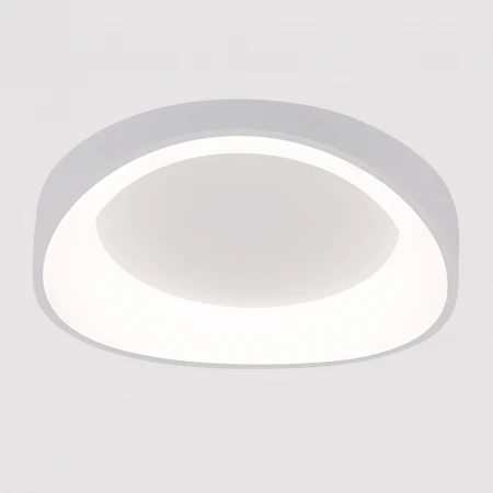 Потолочный светодиодный светильник Arte Lamp Sualocin A2698PL-48WH