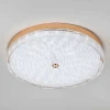 Потолочный светильник LED4U L1117-500 GD