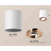 Комплект накладного светильника Ambrella light Techno Spot XS7421004 SWH/PPG белый песок/золото розовое полированное (C7421, N7005)