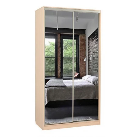 Шкаф-купе Рио 4-600