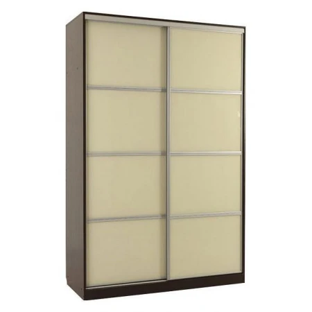 Шкаф-купе Гранд 2-600