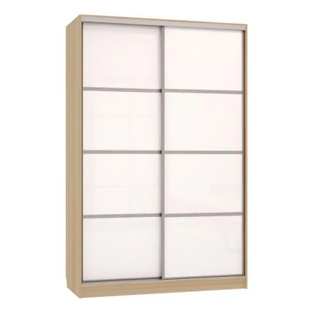 Шкаф-купе Рио 2