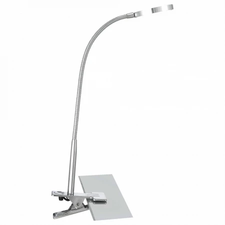 Настольная лампа офисная Pegasi 24103K