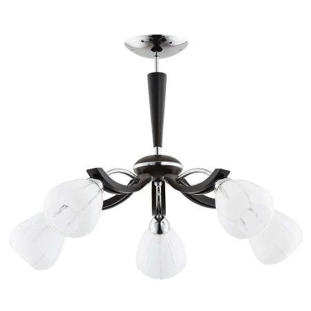 Люстра Alfa 20785 ARETA