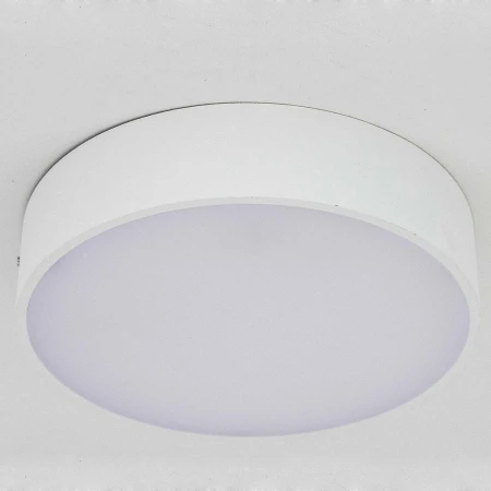 Светильник Citilux CL712R240 Тао