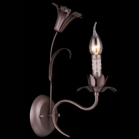 Бра Natali Kovaltseva 79004-1W BROWN, GOLD GRACE