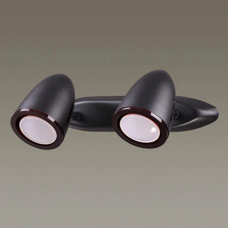 Спот Odeon Light 3824/2W IMAGIO