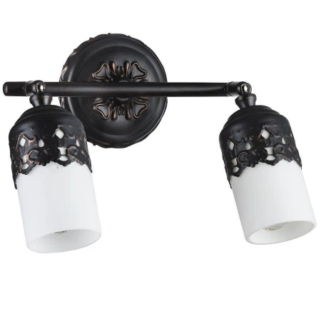 Спот Maytoni SP562-CW-02-R Renda