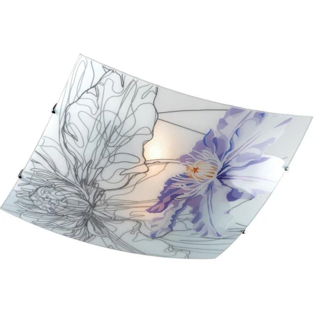 Светильник Sonex 2230 Iris