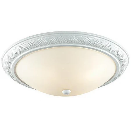 Настенно-потолочный светильник Sonex 4306 COLT