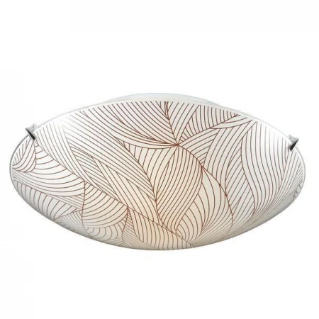 Настенно-потолочный светильник Sonex 2210 Desi