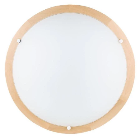 Настенно-потолочный светильник Spot Light 4754160 Frida