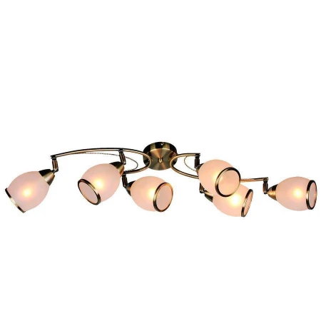 Спот Omnilux OML-35127-06