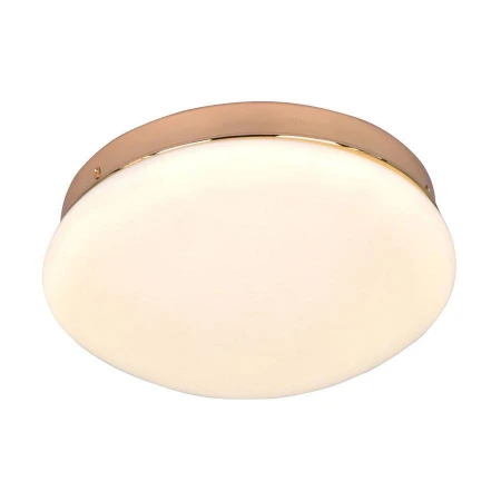 Светильник F-Promo 2465-1C Ledante