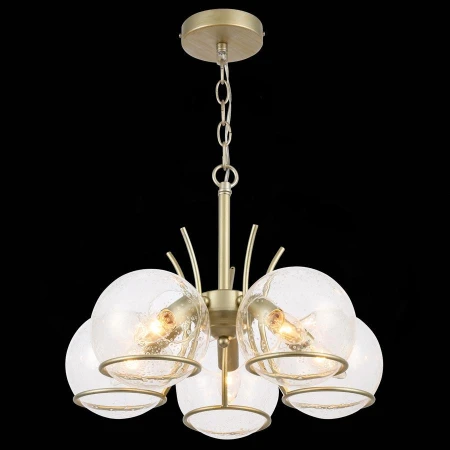 Люстра ST LUCE SL1136.203.05 RESCHEZA