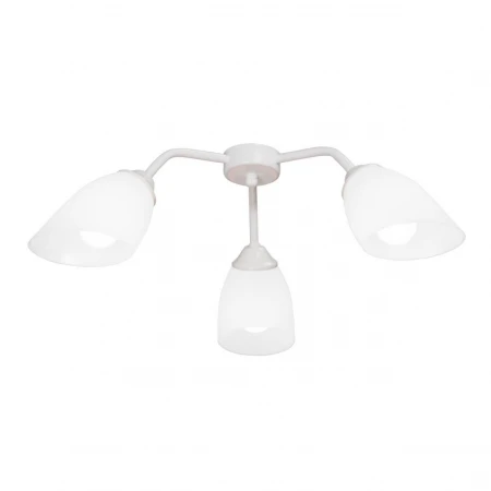 Потолочная люстра Vitaluce V3195/3PL