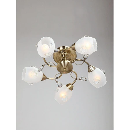 Потолочная люстра Vitaluce V3536/5PL