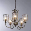 Подвесная люстра Arte Lamp Salvador A6351LM-5AB