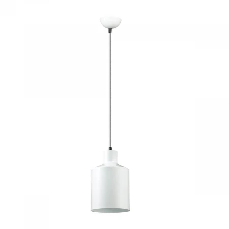 Подвесной светильник Lumion Rigby 3694/1