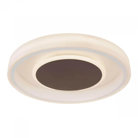 Потолочный светодиодный светильник Globo Goffi 48398-40