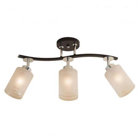 Спот Citilux Фортуна CL156131