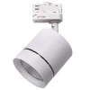 Трековый светодиодный светильник Lightstar Canno Led 301564